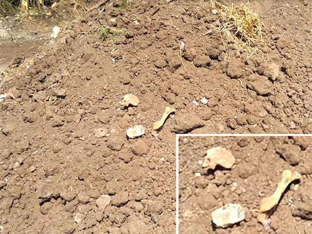  Moradores encontram ossos e restos de caix&atilde;o em aterro de pra&ccedil;a em Corumb&aacute;