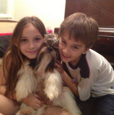 Fam&iacute;lia de Cassil&acirc;ndia encontra cachorro que foi perdido em Rio Preto