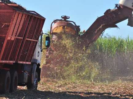 Bagaço de cana-de-açúcar gera economia de 7% em usinas hidrelétricas