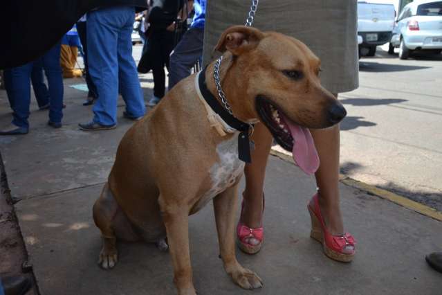 Scooby vira s&iacute;mbolo de luta ao Combate &agrave; Leishmaniose