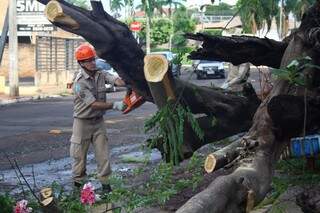 Temporal derrubou árvores, destelhou casas e causou outros prejuízos (Foto: Marcos Ermínio)