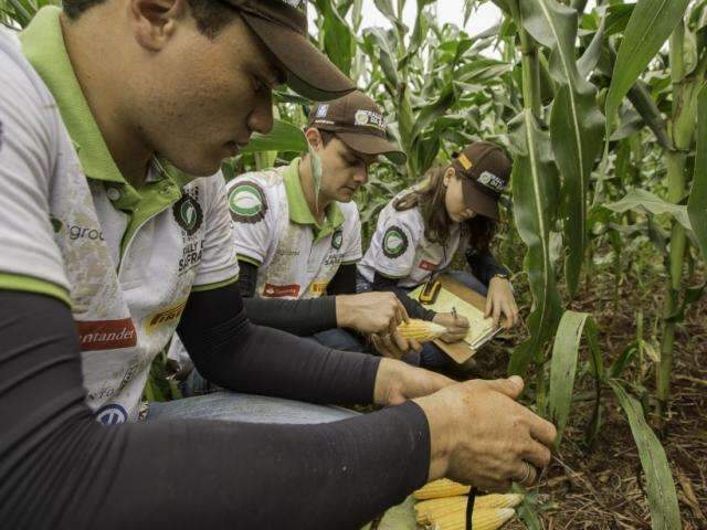 Expedi&ccedil;&atilde;o Rally da Safra avalia lavouras de milho na regi&atilde;o sul de MS