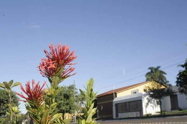Previs&atilde;o &eacute; de c&eacute;u nublado em Mato Grosso do Sul nesta quarta-feira