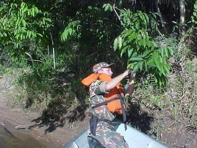 Opera&ccedil;&atilde;o Pr&eacute;-piracema autua 81 pessoas e apreende 482 Kg de pescado