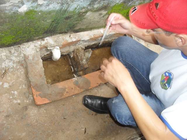 Dengue diminui com estiagem, mas casos confirmados j&aacute; superam 2015