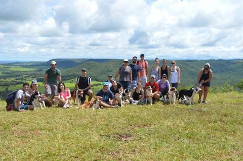Trilha de 8 km no Morro do Ernesto foi mais divertida na companhia dos cachorros