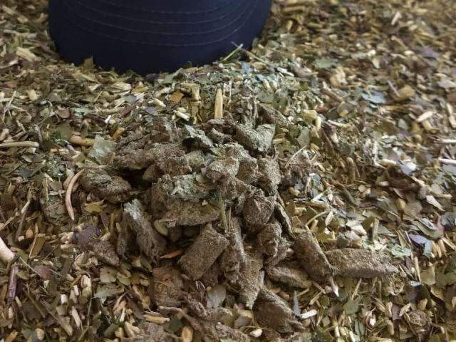 Em pres&iacute;dio, mulher &eacute; presa com maconha misturada com erva de terer&eacute;