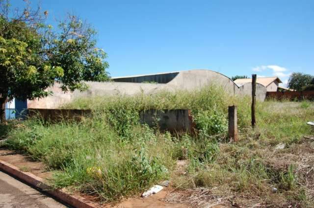Sete terrenos em uma &uacute;nica rua causam transtorno no Monte Castelo