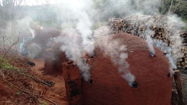 Pol&iacute;cia Ambiental fecha carvoaria ilegal e aplica multa de R$ 3,5 mil