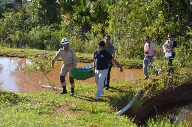 Homem morre afogado em a&ccedil;ude de ch&aacute;cara na estrada da Tr&ecirc;s Barras