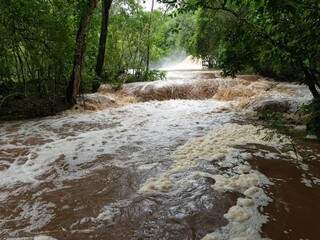 Rio Mimoso cheio após chuva forte desta semana. (Foto: Instituto Homem Pantaneiro).