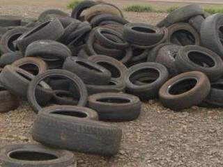 Objetos como pneus e garrafas devem ser descartados de forma correta para não acumular água. (Foto: Repórter News)
