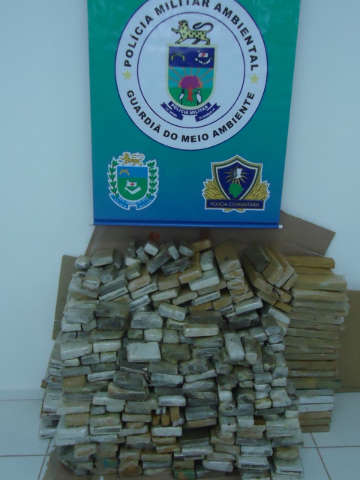  PMA apreende 330 quilos de maconha durante opera&ccedil;&atilde;o Carnaval em Tr&ecirc;s Lagoas