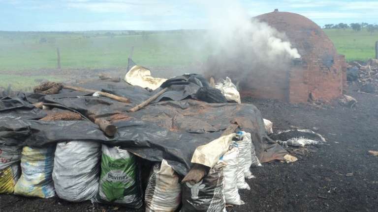 25 m³ de carvão sem documentação foram apreendidos. (Foto: Divulgação PMA)