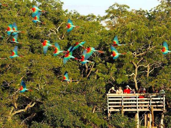 Jardim comemora nesta quarta-feira 68 anos com muita festa 