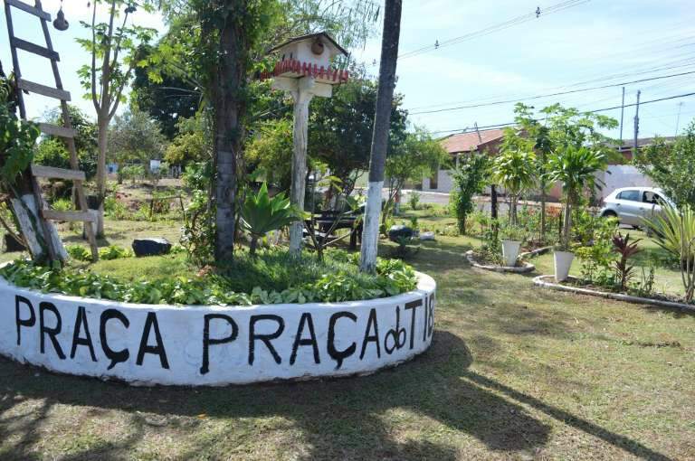 Tem mais de 50 espécies de plantas. (Foto: Thailla Torres)