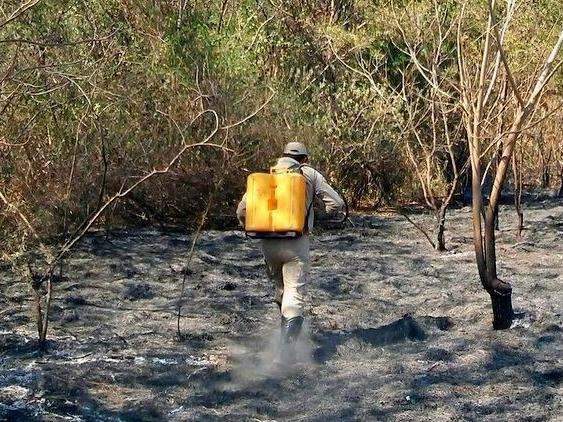 Corumb&aacute; teve 4 mil focos de inc&ecirc;ndio em 2016; maior &iacute;ndice do pa&iacute;s