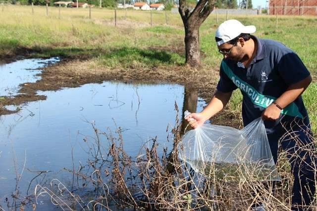 A&ccedil;&otilde;es de combate ao Aedes devem mobilizar alunos do Instituto Federal em MS