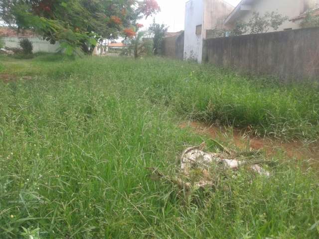 Popula&ccedil;&atilde;o encontra de lixo &agrave; cobra em pra&ccedil;a abandonada