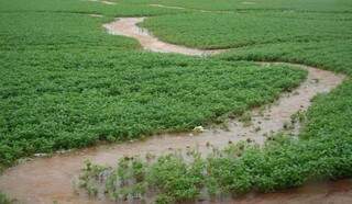 Governo do Estado prorrogou prazo para abertura de valas em áreas agrícolas atingidas por chuvas. (Foto: Divulgação)