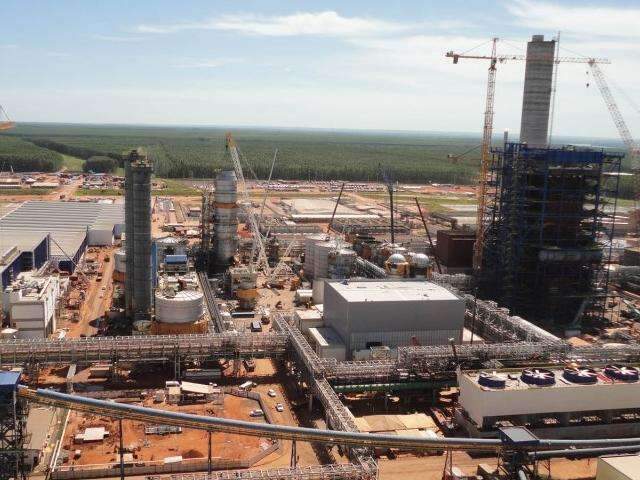 F&aacute;brica de celulose antecipa in&iacute;cio das opera&ccedil;&otilde;es em Tr&ecirc;s Lagoas