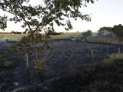 Incêndio em vegetação destrói barracos perto da rodovia BR-060