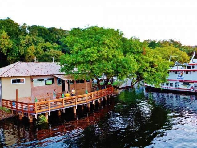 Em Corumb&aacute;, bar r&uacute;stico tem vista privilegiada com direito a jacar&eacute; e sucuri