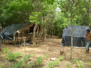 Índios permanecem acampados em fazenda. (Foto: Divulgação)