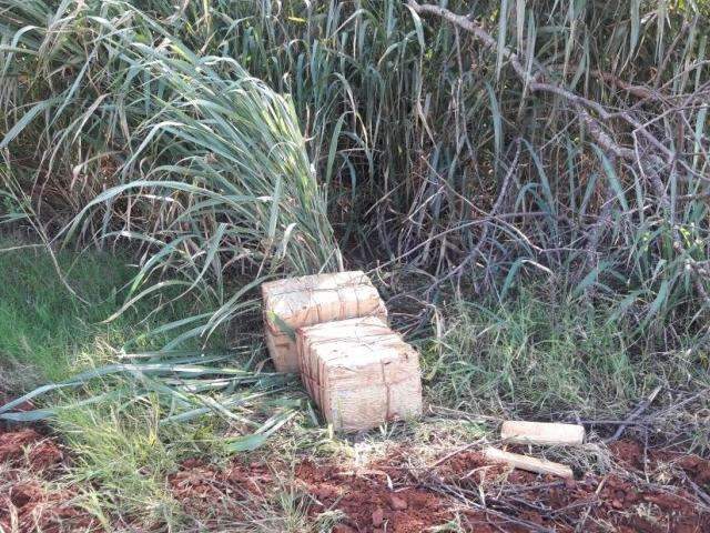 Traficantes s&atilde;o presos pela PM com 109 kg de maconha escondidos no mato