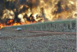 Incêndio em canavial em Chapadão do Sul. (Foto: Jovem Sul News).