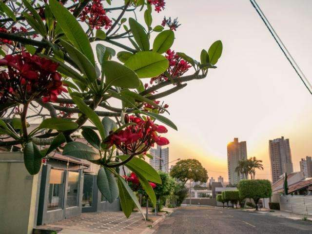 Inmet prev&ecirc; ter&ccedil;a-feira de calor de 39&deg;C e chuva isolada em MS