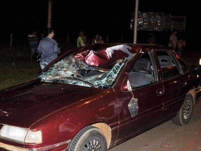 Cavalo morre e duas pessoas ficam feridas ap&oacute;s carro atropelar animal