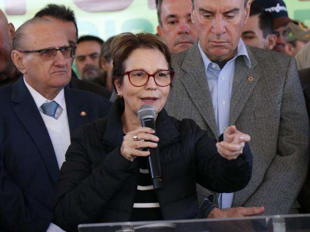 Acordo com Uni&atilde;o Europeia vai ajudar agricultura de MS, diz ministra