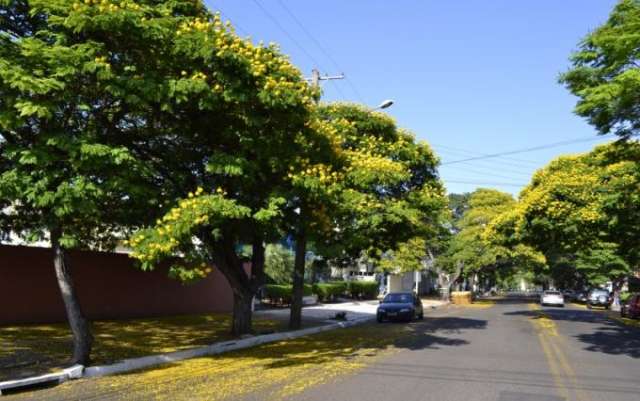 Dia ser&aacute; de calor e com alerta de baixa umidade do ar em Campo Grande