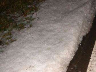 Chuva de granizo cobre asfalto e pode ter causado acidente em rodovia
