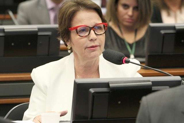 PSB vai realizar evento para oficializar apoio a Rose Modesto