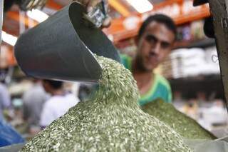 Em mercado tradicional da Capital, o quilo da erva crioula custa R$ 11 e a com sabor sai por R$ 13 (Foto: Cleber Gellio)