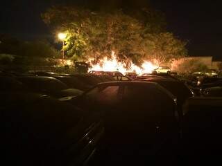 Fogo destruiu ao menos 20 veículos em pátio de delegacia. (Foto: Divulgação/PM)