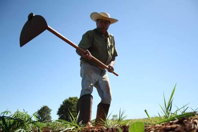 Escola Agr&iacute;cola de Campo Grande obt&eacute;m a 3&ordf; melhor nota no Pa&iacute;s