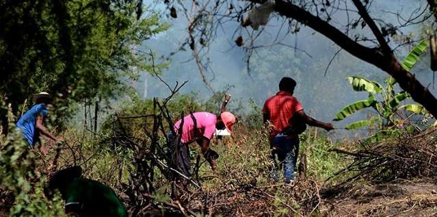 Grupos sem-teto invadem &aacute;rea do governo e doam lotes irregularmente
