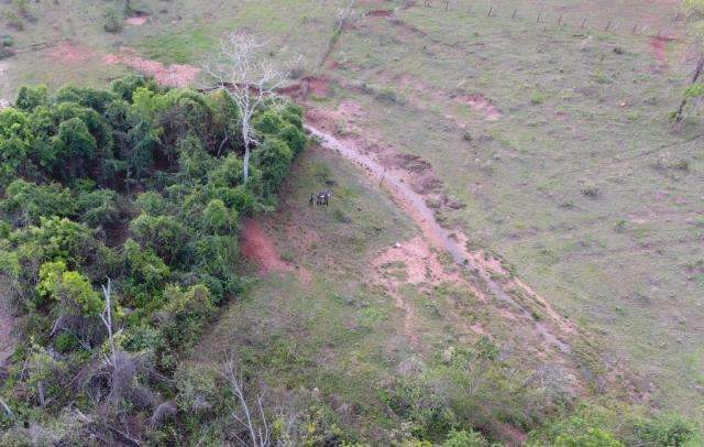 Dois s&atilde;o multados por remo&ccedil;&atilde;o de mata que protege c&oacute;rrego em MS