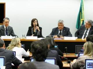 Comissão Especial vai realizar evento na Capital (Foto: Vinicius Loures/Câmara dos Deputados)