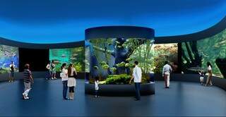 Visitante poderá conferir 135 espécies de peixes (Foto: Simulação)