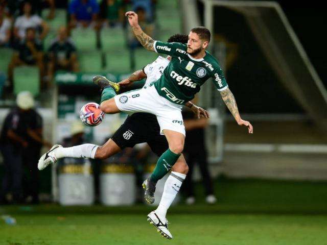 Com time reserva, Palmeiras faz 1 a 0 sobre o Ponte Preta 