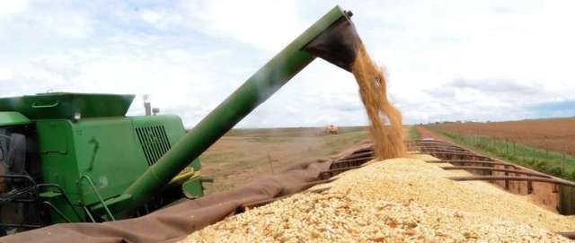 Safra de gr&atilde;os de 2019 deve ser 3,1% maior que a de 2018, diz IBGE