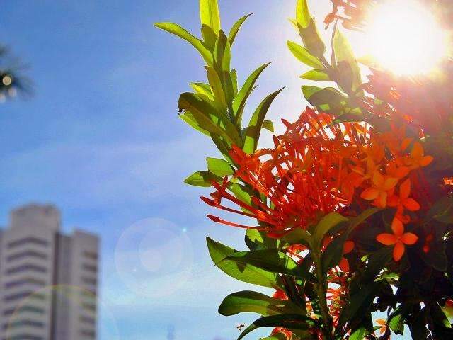 Nova frente fria chega com for&ccedil;a e MS ter&aacute; m&iacute;nima de 7&ordm;C na quarta