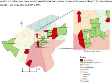 Pesquisadora mapeia áreas de incidência da leishmaniose em Campo Grande
