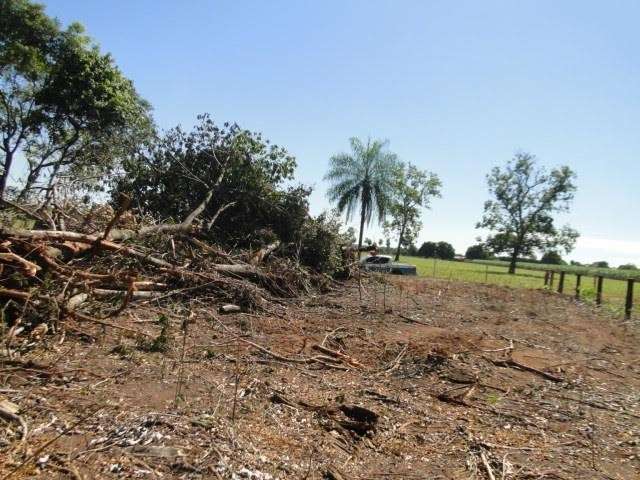 PMA autua assentados por desmatar quatro hectares irregularmente