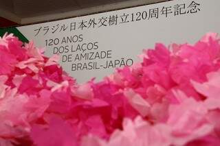 A decoração remete as flores de Sakura, cerejeira que floresce por 15 dias, uma vez ao ano no Japão.(Foto: Marcos Ermínio) 