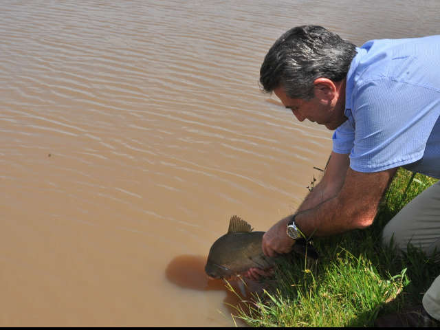  Em Dourados, lago recebe 3,5 mil kg de peixes como prepara&ccedil;&atilde;o para festa